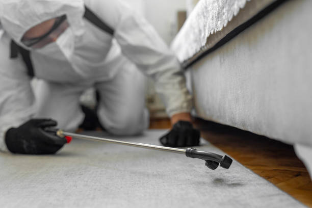 Professional Cockroach Control technician working in Mound City, MO