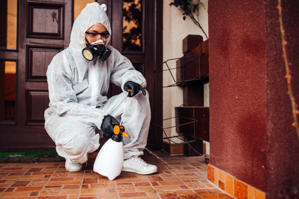 Reliable Cockroach Control contractor in Mound City, MO by Nex Pest Control