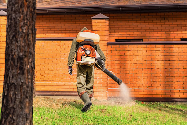 Top rated local Cockroach Control specialists in Mound City, MO